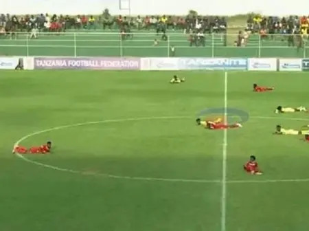 Football match suspended after bees invade stadium