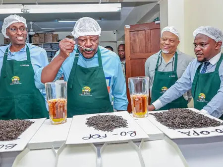Inaugural orthodox tea auction opens in Mombasa with up to 92 tonnes traded