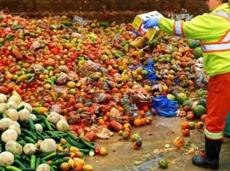Report Reveals Alarming Food Loss and Waste in Kenya’s Key Staples and High-Value Foods