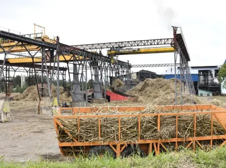 Kenya Sugar Board targets October deadline for full revival of four state sugar mills