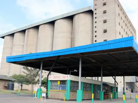 Government announces new maize prices ahead of harvest season