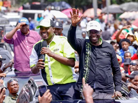 DCP pulls out of three by-elections to back united opposition partners