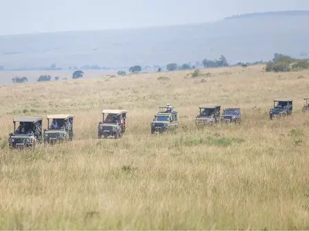 List of KWS Parks and Reserves You Can Visit for Free on Saturday
