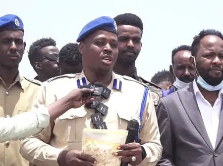 Somali police burn 250 cartons of seized drugs in Mogadishu