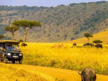 Kenya Wildlife Service introduces revised park entry fees effective Wednesday