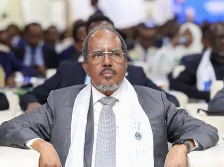 Somali President: Foreign passports cannot be used to enter Somalia without a visa