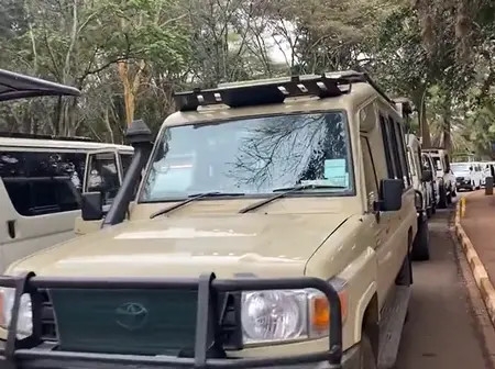 KWS opens all national parks for free entry: Who qualifies and when
