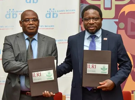 Kenya’s Dairy Production Transforming From ‘Farm to Glass’
