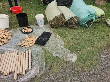Bhang worth Sh5 million seized in university hostels in Homa Bay