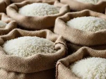 KRA blocks Ksh.123M tax fraud in irregular rice import deal