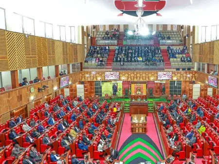 Parliament to host webinar on threats to women’s and children’s health