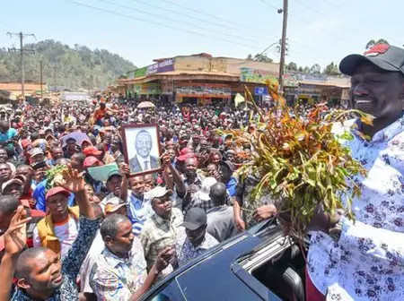 Kenya pushes to expand khat exports as Somalia market faces Ethiopian challenge