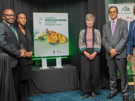 Kenyan Banks Surpass MSME Lending Target, Unlocking KShs 19 Trillion Green Economy