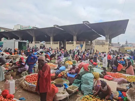 Africa’s agri-food trade more than doubles, but hunger still soars – report
