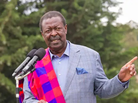 Mudavadi: Strength of Kenyan shilling depends on tea exports