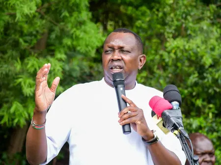 Sudi Goes After Mohammed Ali After Meeting Gachagua
