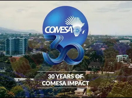 COMESA Summit: Quick Facts You Need to Know About COMESA