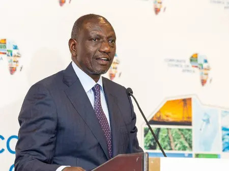 Government investing in value addition to curb export of raw materials