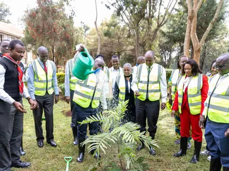 Equity Group, TSC, Champion Sustainability Through Tree Planting Ahead of Teachers Day
