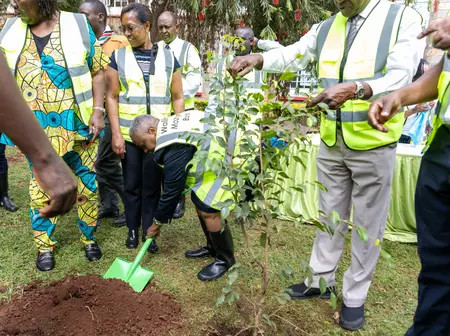 Equity Group, Teachers Champion Sustainability Through Tree-Planting