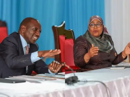 Tanzania Spares Kenya From Ban On Foreigners Doing 15 Businesses