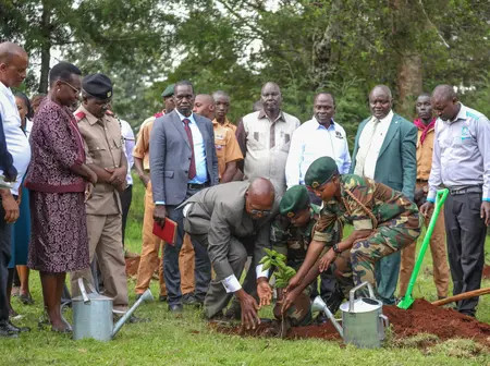 Over 2000 trees planted to commemorate World Teachers day in Baringo