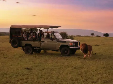 Safari, But Make It Platform: Inside Kenya’s High-Stakes Tourism Land Grab