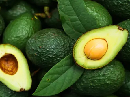 How Tanzanian avocados are wasted