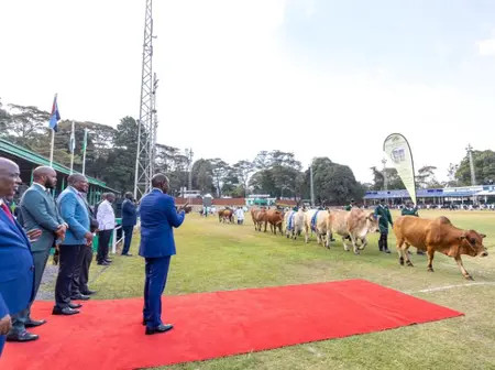“No More Raw Exports”: Ruto Unveils Plan to Keep Agricultural Wealth in Kenya