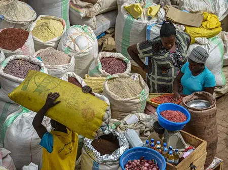 African countries Kenyans can sell, export goods duty-free