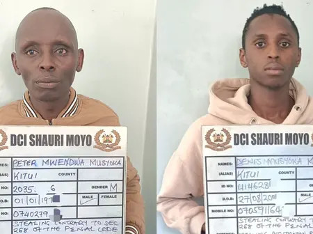 Father and Son in Ksh236,000 M-Pesa Fraud Arrested