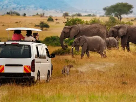 Why Kenya and Africa’s Youth Could Redefine the Global Tourism Game