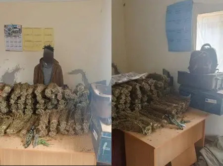 Operation on Narcotic Drugs Intensified in Bondo