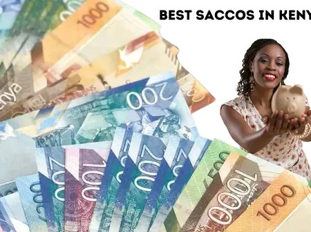 Delay in Cash Refunds Top SACCO Member Complaints