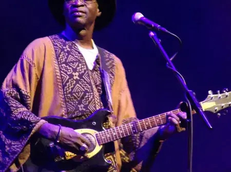 African instrumentalists who won Grammy Awards without singing