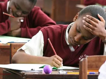 KNEC Releases 2025 Term Three School-Based Assessments For Primary And Junior Schools