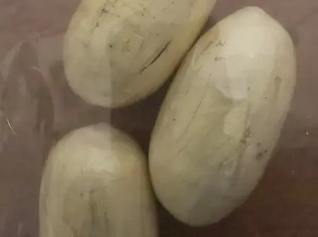Woman Excretes Pellets Of Cocaine At JKIA